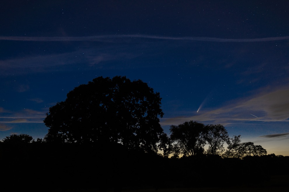 The comet NEOWISE with some trees in the foreground and some clouds in the nightsky.